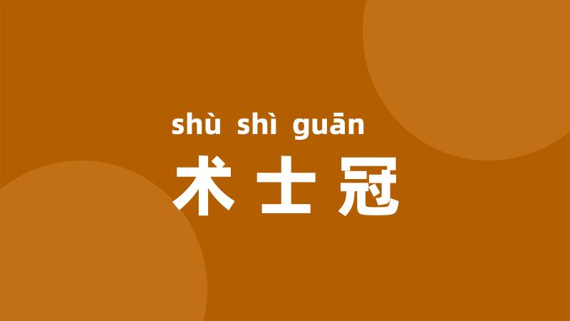 术士冠
