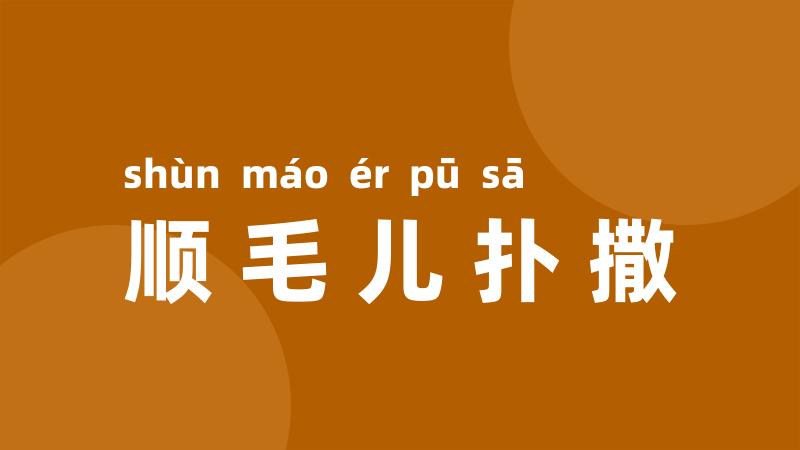 顺毛儿扑撒