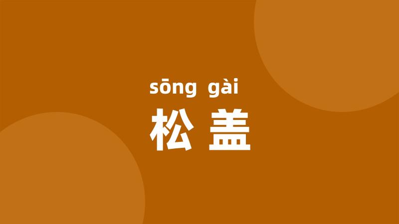 松盖