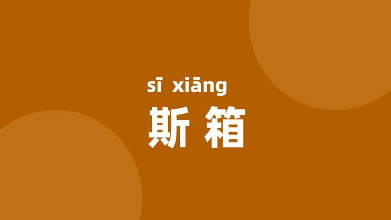 斯箱