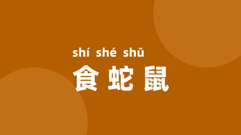 食蛇鼠