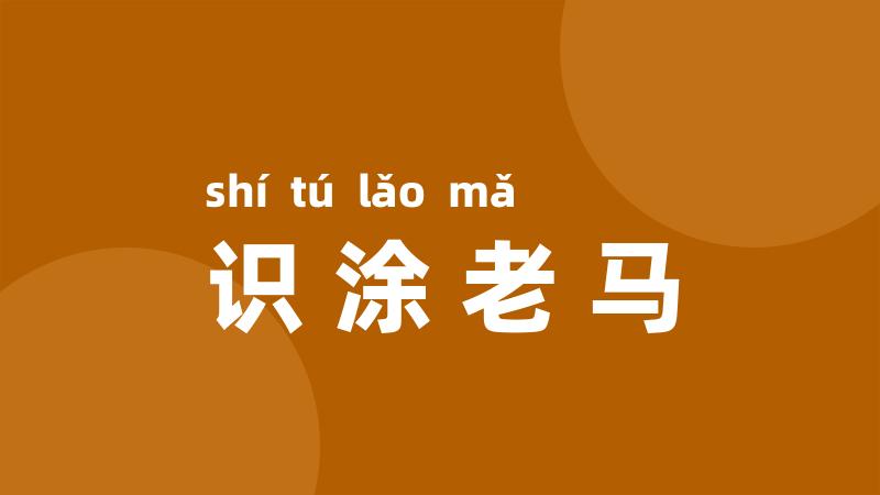识涂老马