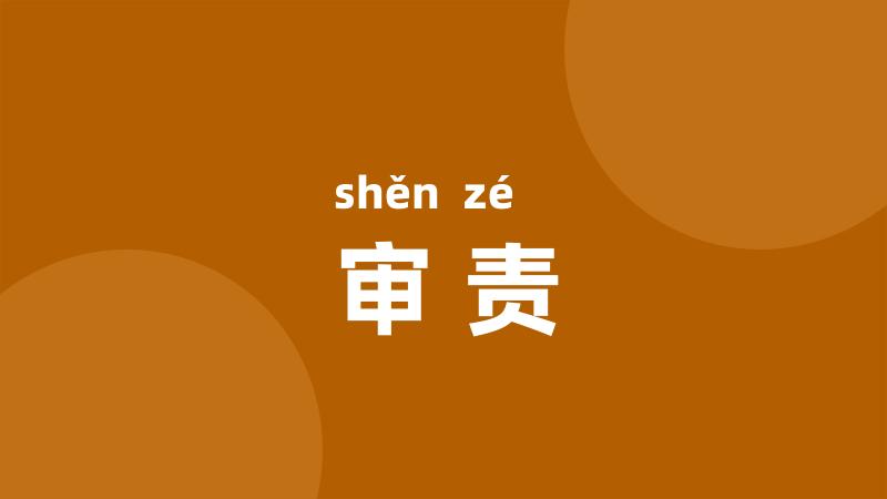 审责