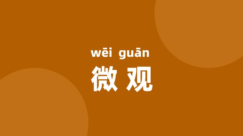 微观