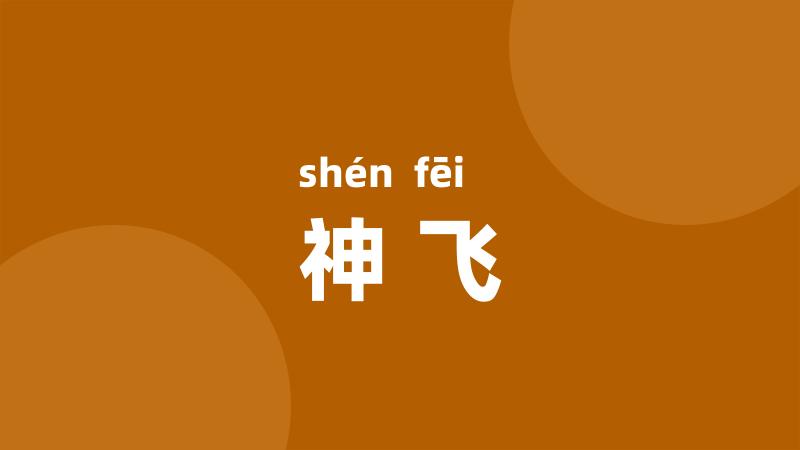 神飞