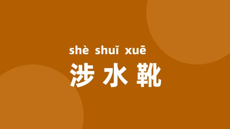 涉水靴