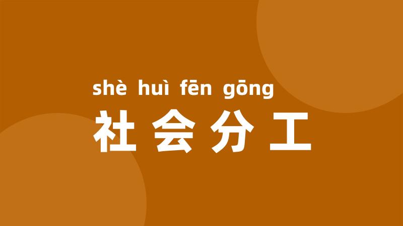 社会分工