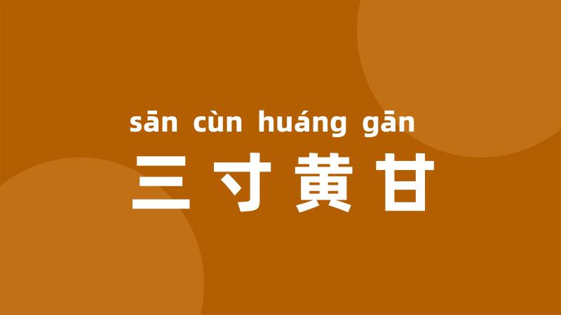 三寸黄甘