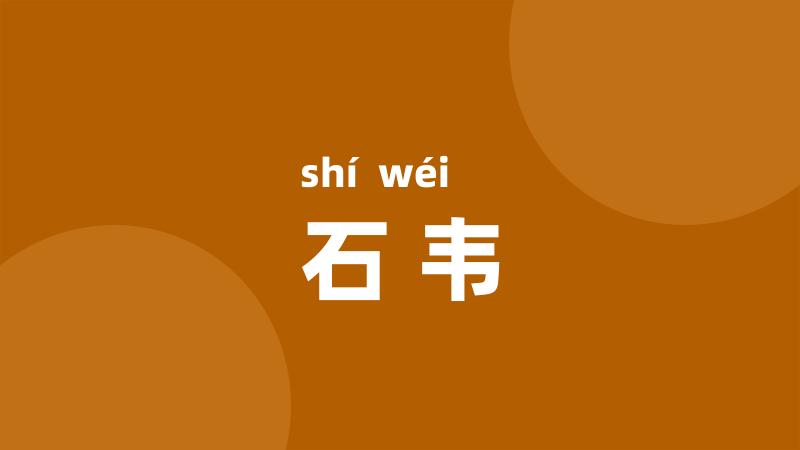 石韦
