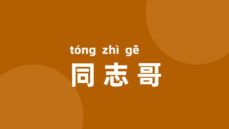 同志哥