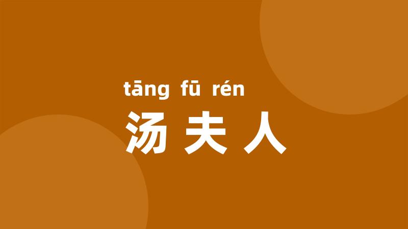 汤夫人