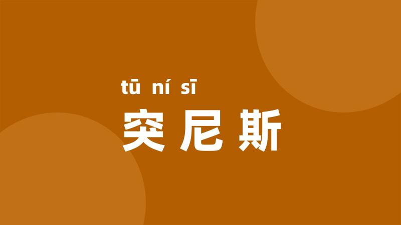 突尼斯