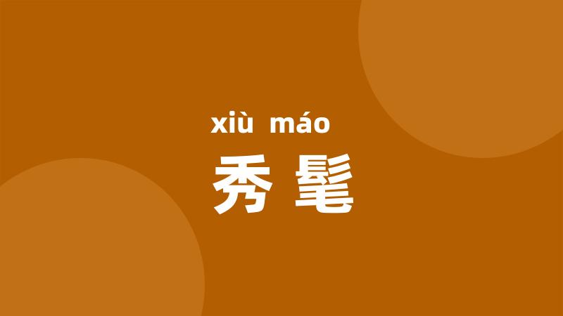 秀髦