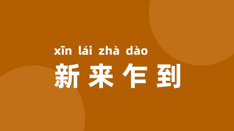 新来乍到