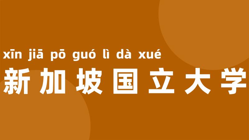 新加坡国立大学