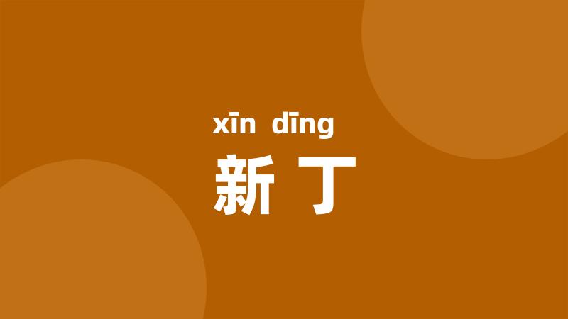 新丁