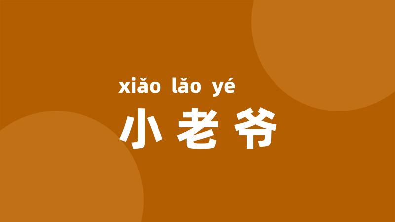 小老爷