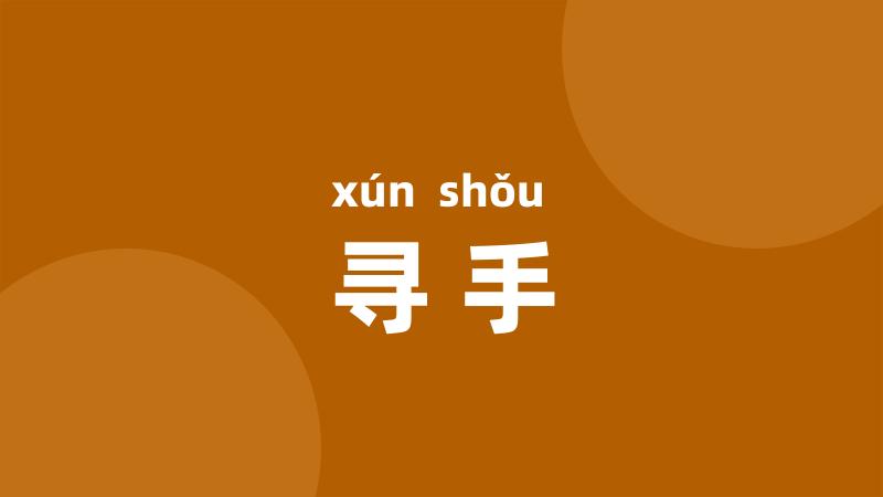 寻手
