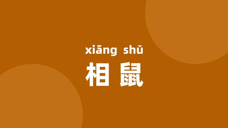 相鼠