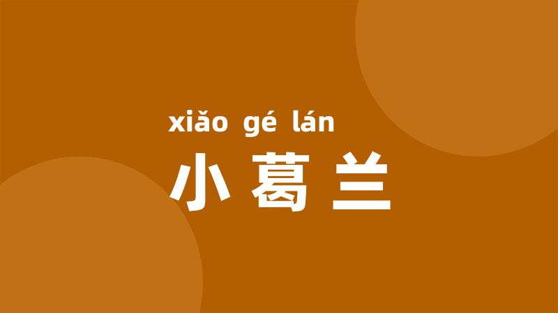 小葛兰
