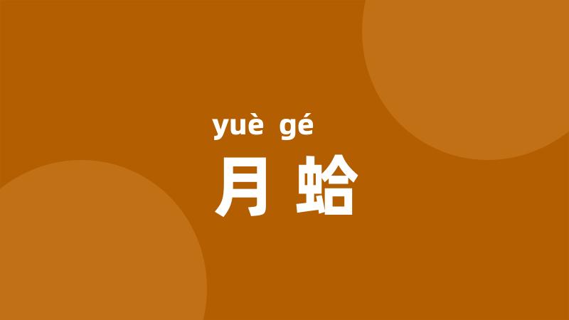 月蛤