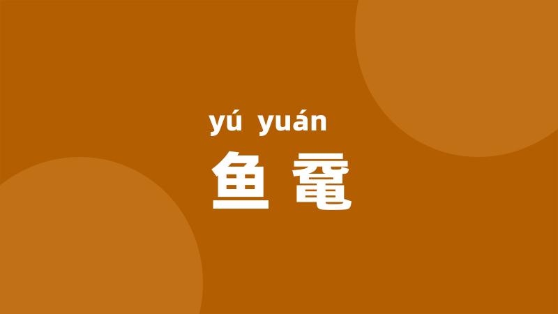 鱼鼋