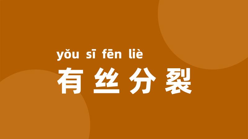有丝分裂