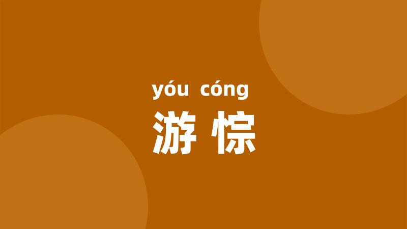 游悰