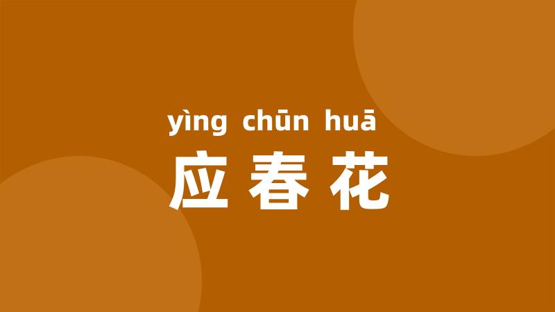 应春花