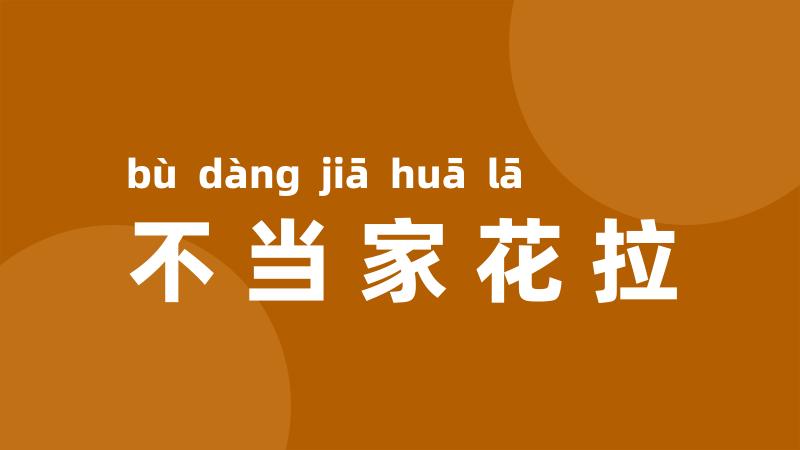 不当家花拉