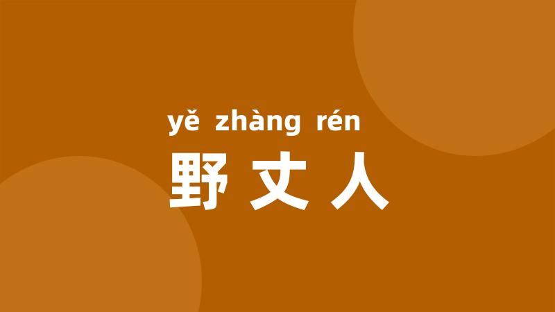 野丈人