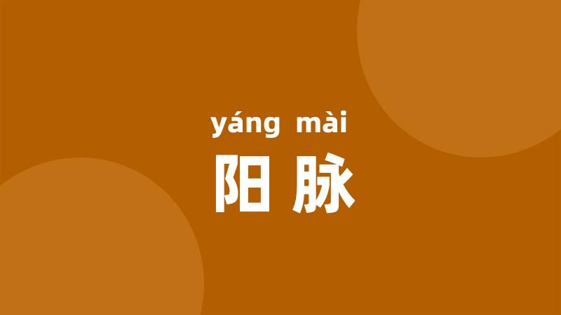 阳脉