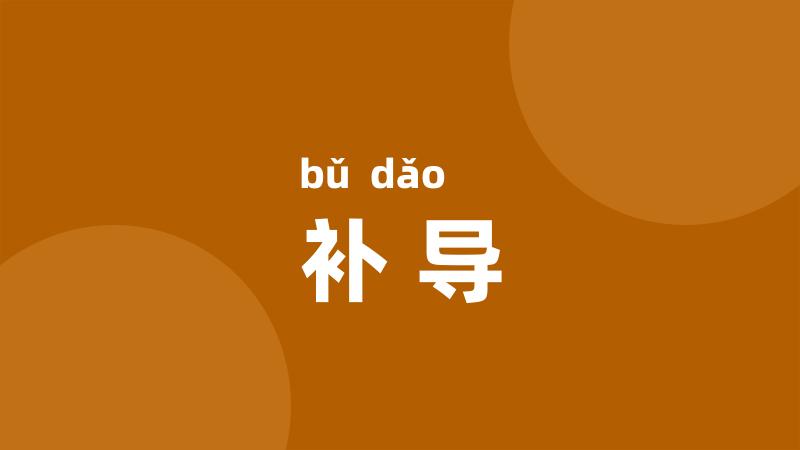 补导