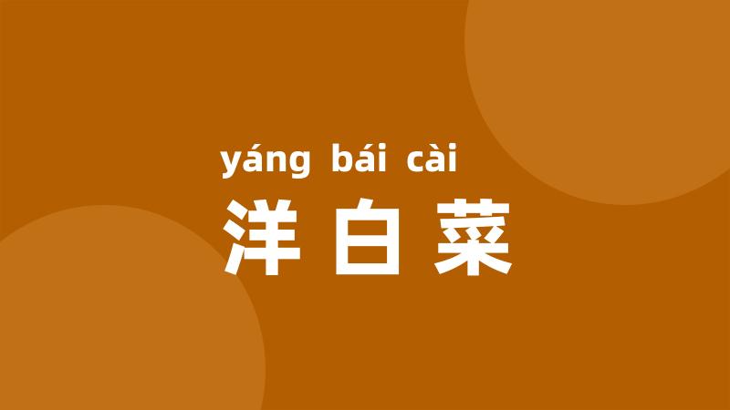 洋白菜