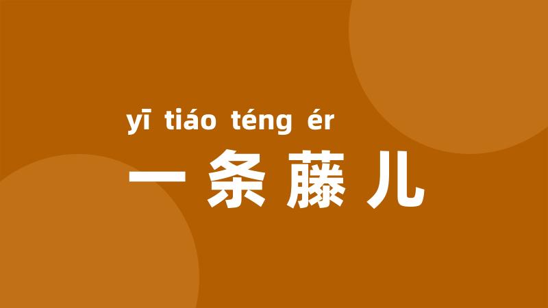 一条藤儿
