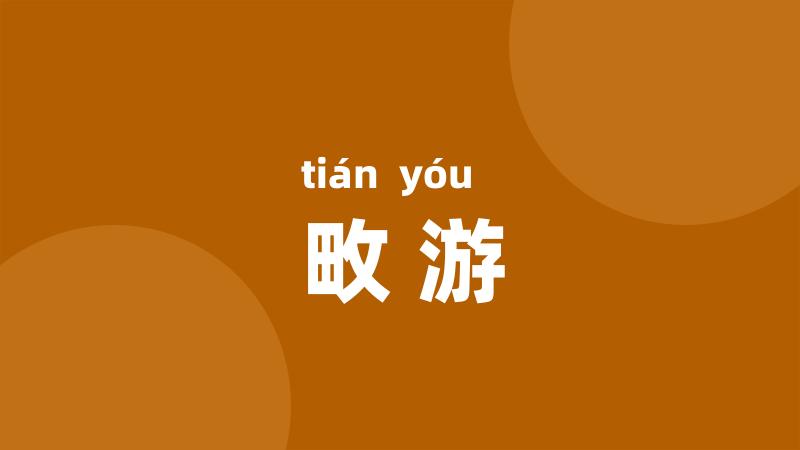 畋游