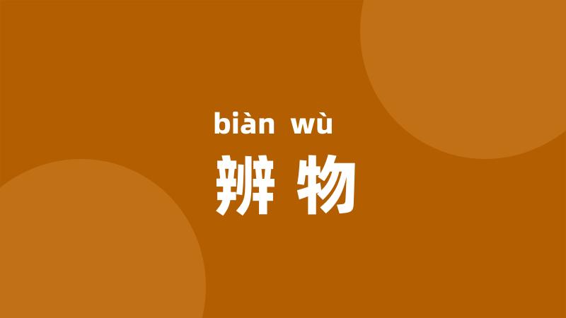 辨物