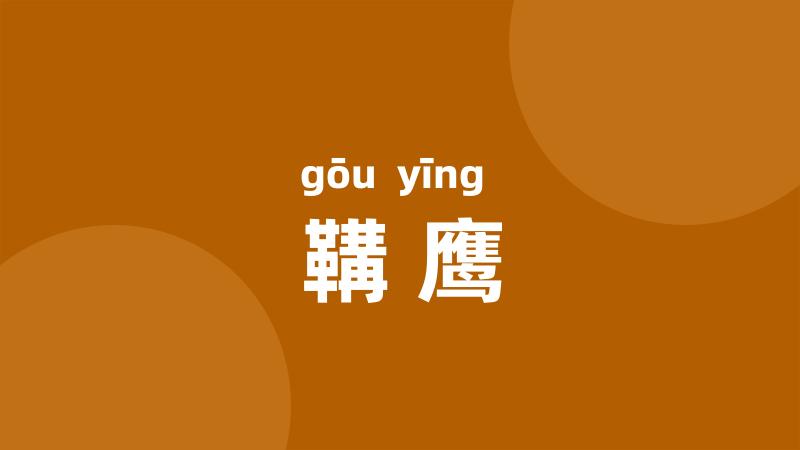 鞲鹰