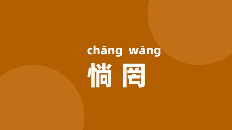 惝罔