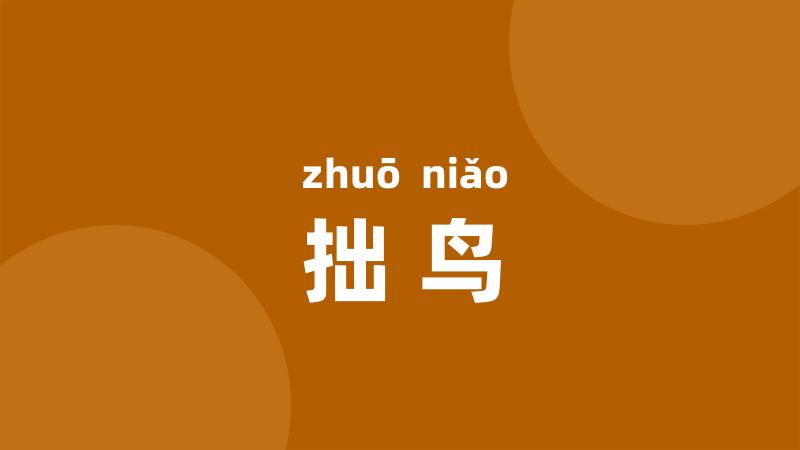 拙鸟