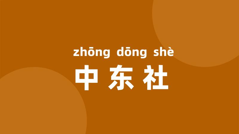 中东社
