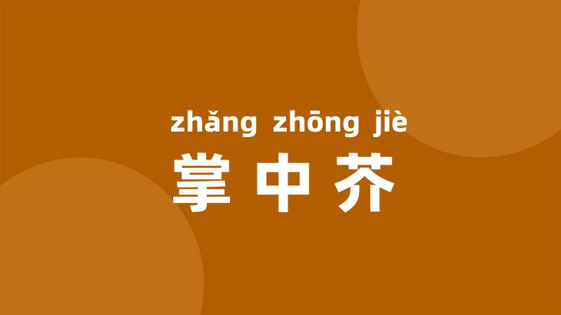 掌中芥