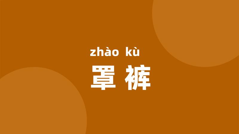 罩裤