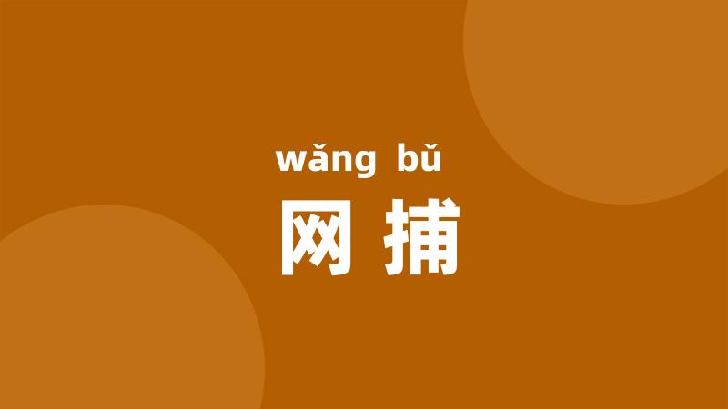 网捕