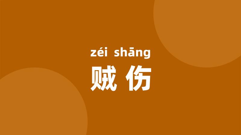贼伤