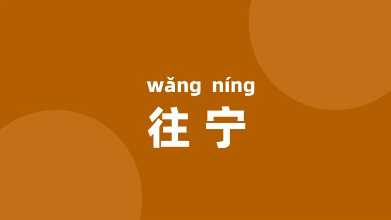 往宁