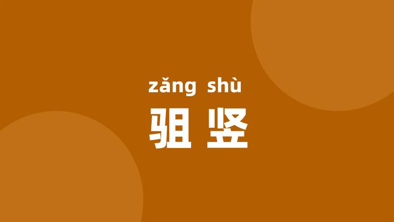 驵竖