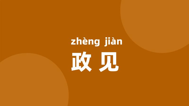 政见