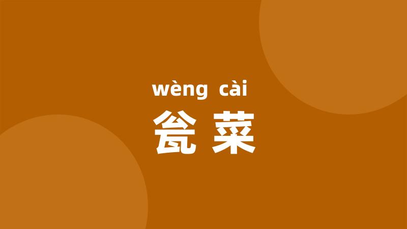 瓮菜