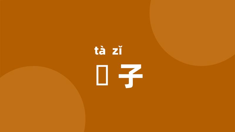 搨子